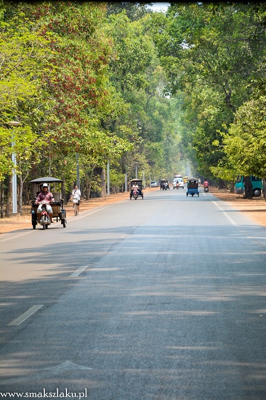 Droga do kompleksu Angkor